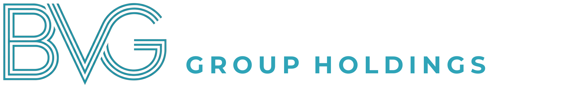 Big Ventures Group Holdings