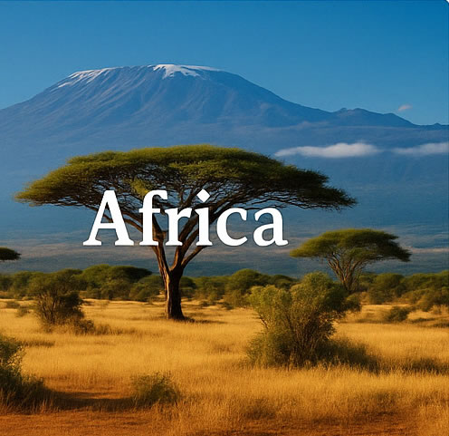 South Africa Kruger Private Reserve & Cape Town Luxury